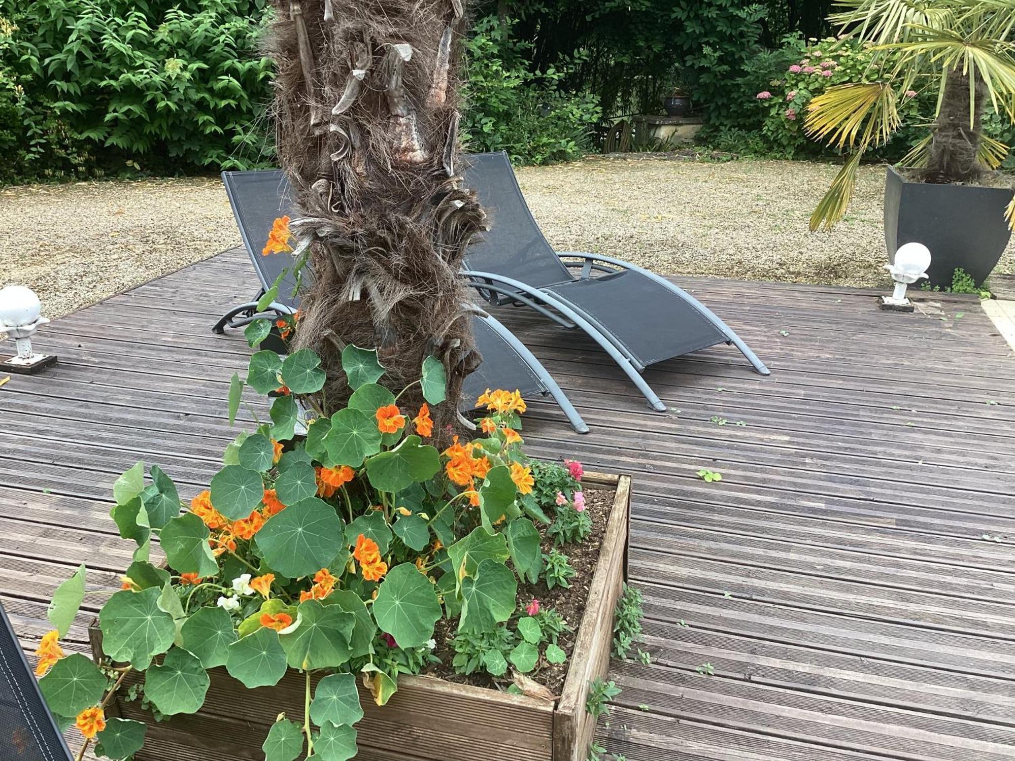 Le Lavoir Acomodação com café da manhã Châteauroux Exterior foto